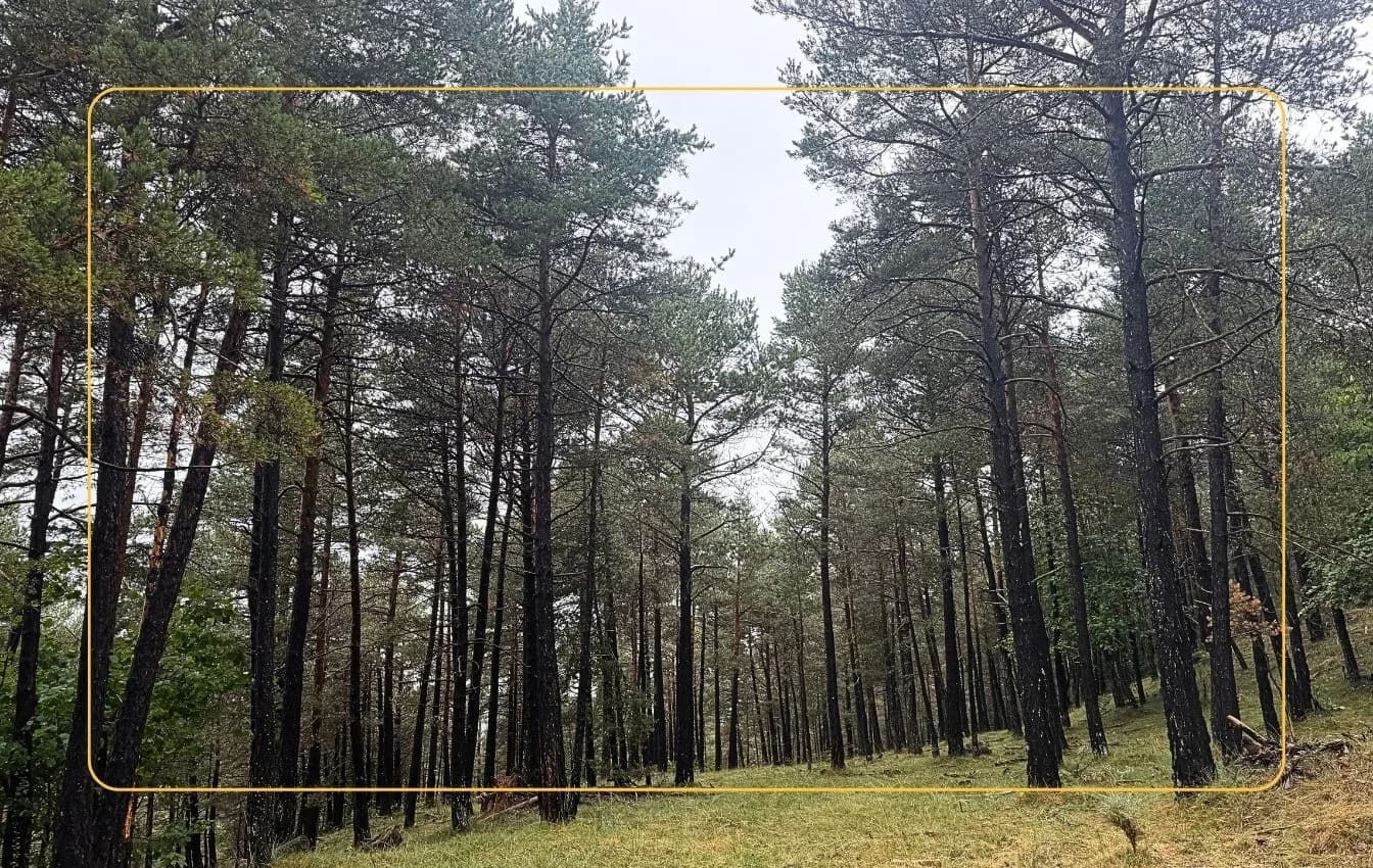 L'Espunyola – Sant Lleïr de la Vall d'Ora